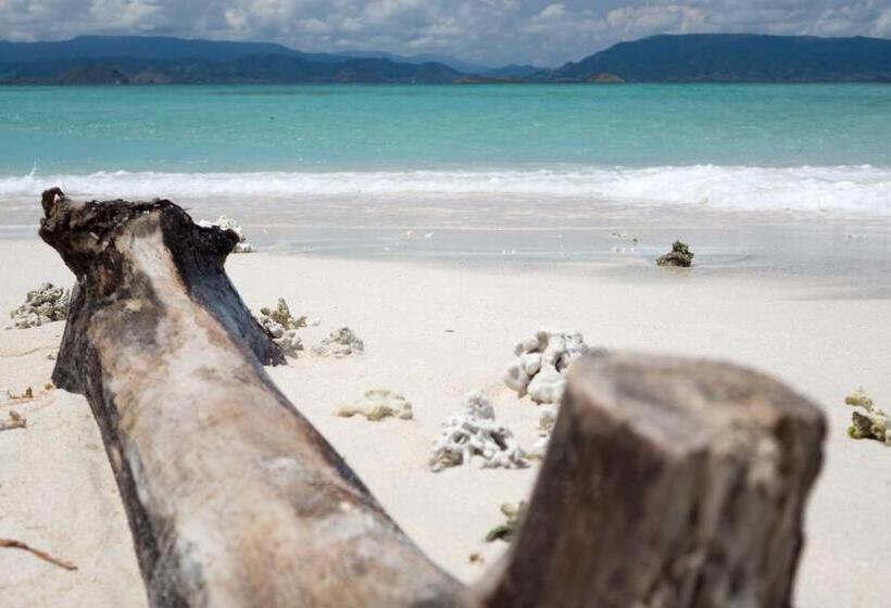 פנסיון Bidara Cottage