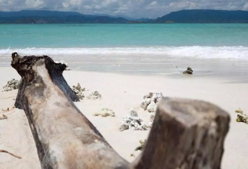 ペンション Bidara Cottage