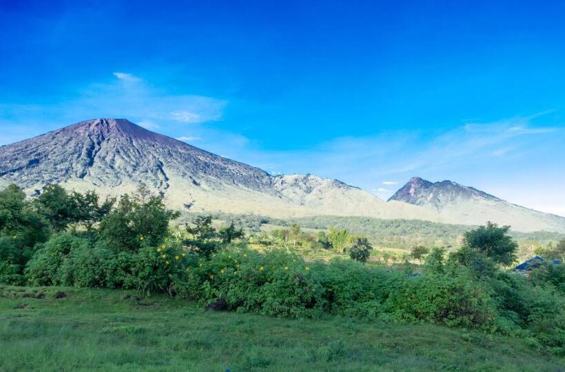 פנסיון Bidara Cottage