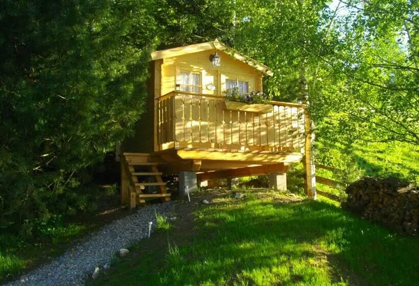 Pensiune Gästehaus Bischof