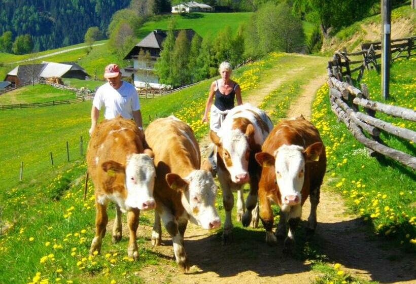 펜션 Gästehaus Bischof