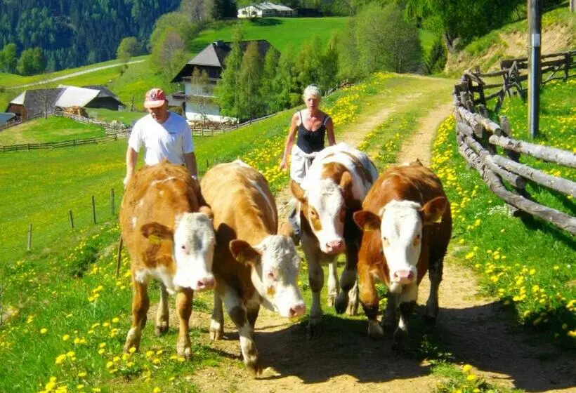 Pensiune Gästehaus Bischof