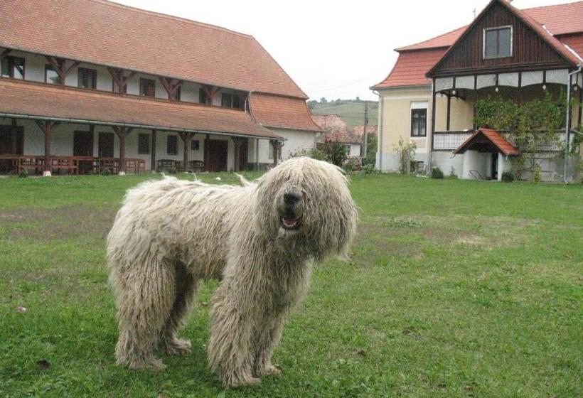 بنسيون Kúria Vendégház