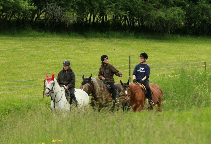 Pensió Landgasthof Zum Elsabauern
