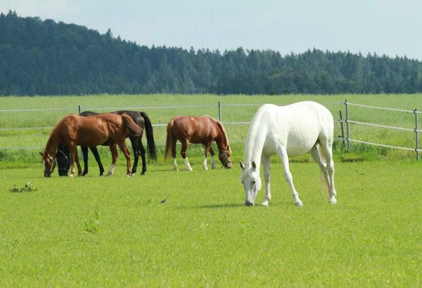 Pensió Landgasthof Zum Elsabauern
