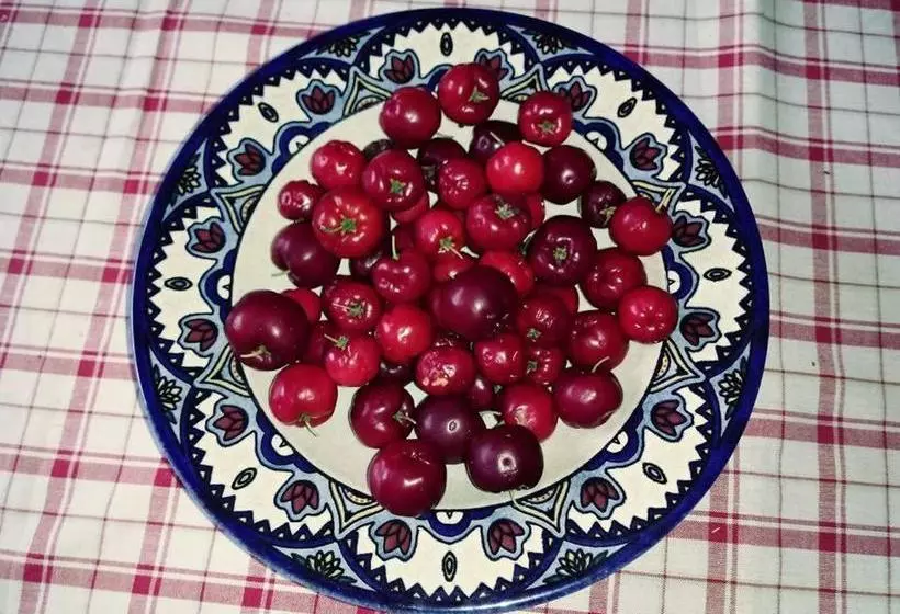 Majatalo Pousada Condado Santa Maria