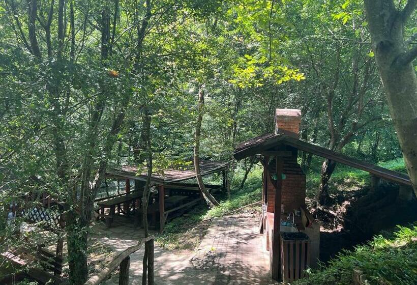 Pension Casa Vanatorilor