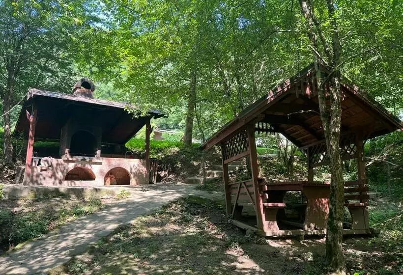 Pension Casa Vanatorilor