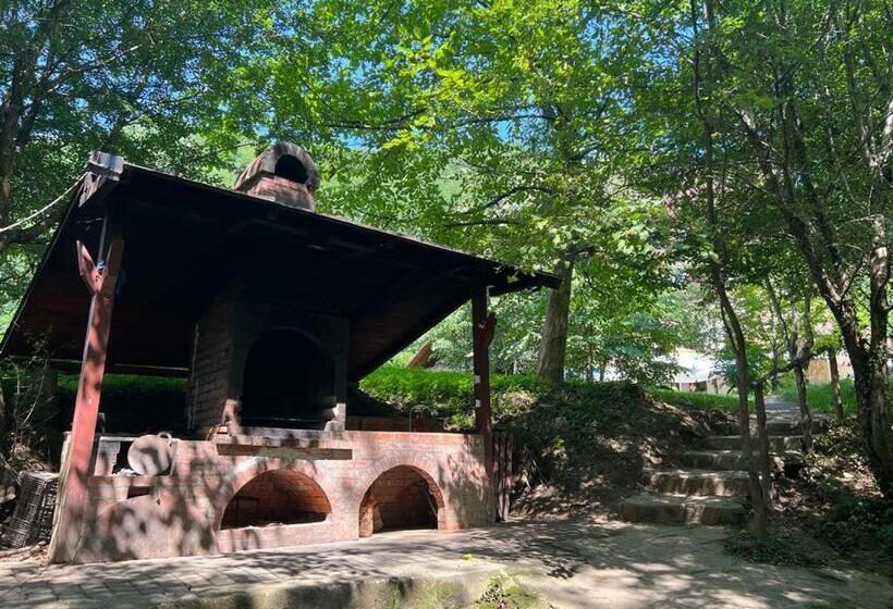 Pension Casa Vanatorilor