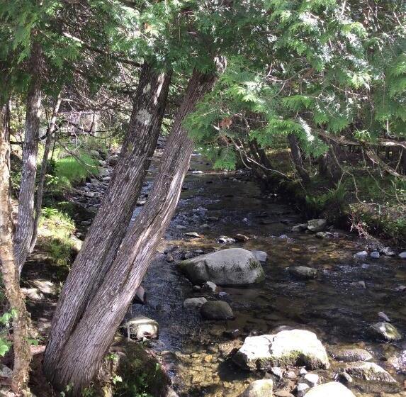 渡假胜地  Camping Chalets Spas Pignons Rouges