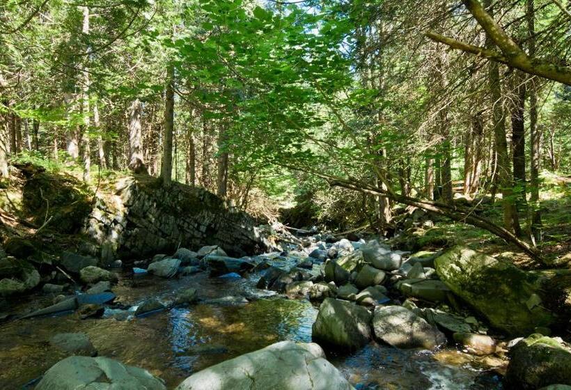 渡假胜地  Camping Chalets Spas Pignons Rouges