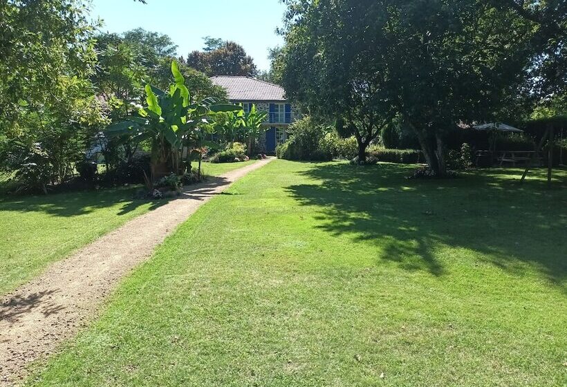 Bed and Breakfast Chambre D Hôtes L Airial