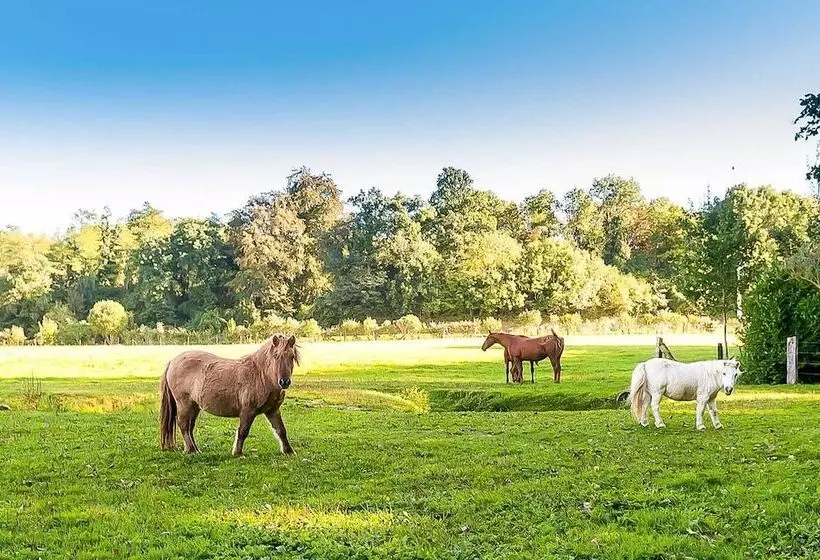 ベッドアンドブレックファースト Le Clos Des Vignes