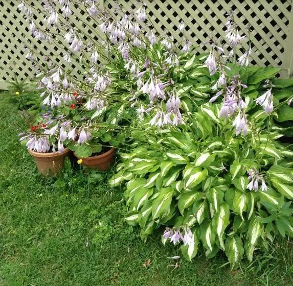 Aamiaismajoitus (B&B) Le Gîte Des Soeurs