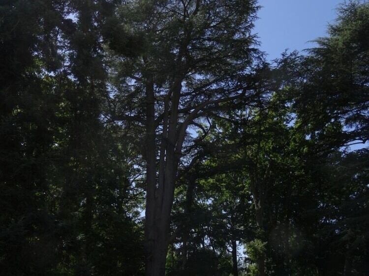 ベッドアンドブレックファースト Manoir De La Voute Maison D'hôtes