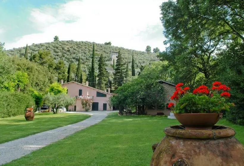 ホテル Agriturismo L'ulivo