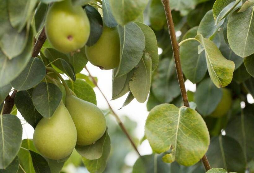 فندق Agunì Agriturismo E Locanda