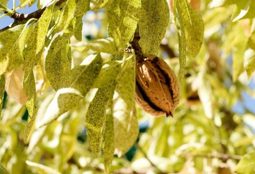 فندق Agunì Agriturismo E Locanda