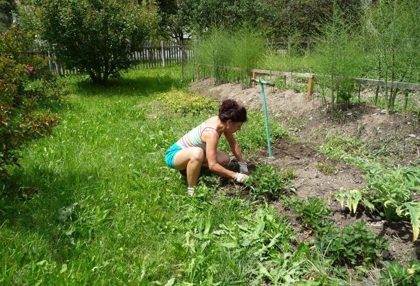 Отель Gasthof Gemse