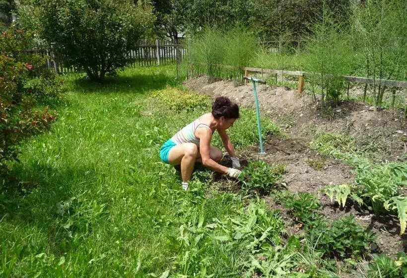 Hotelli Gasthof Gemse