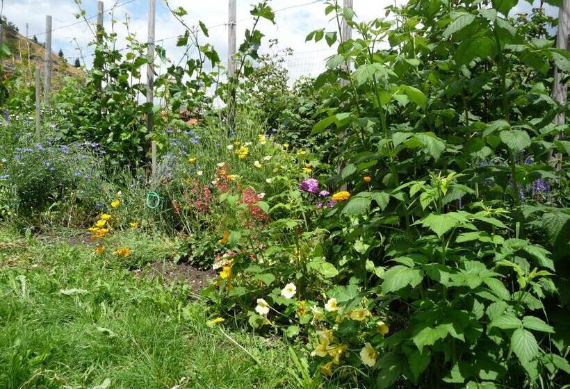 Отель Gasthof Gemse