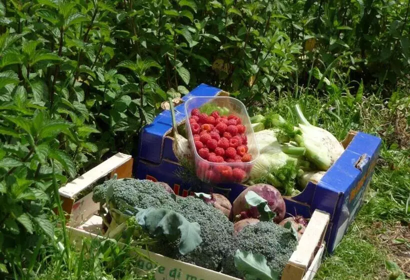 Hotelli Gasthof Gemse