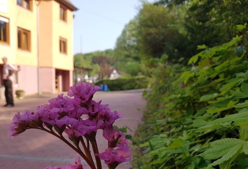 호텔 Zur Engelsburg