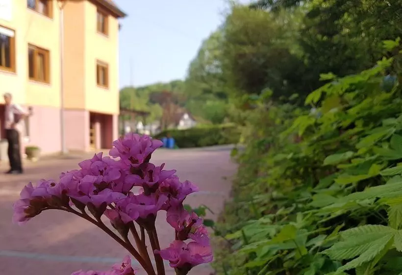 Hotelli Zur Engelsburg