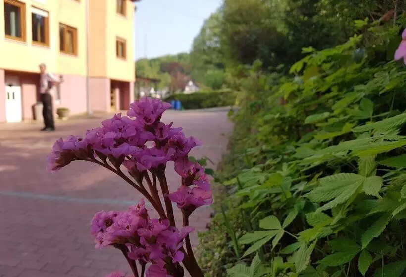 Hotelli Zur Engelsburg