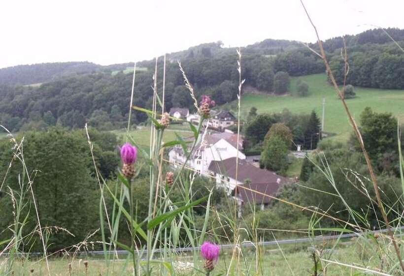 호텔 Zur Engelsburg