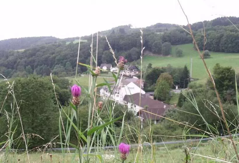 Hotelli Zur Engelsburg