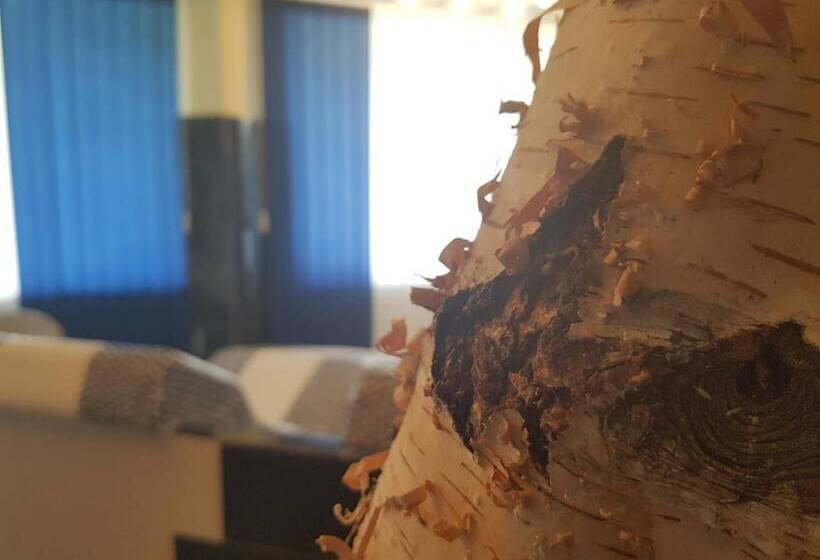 호텔 Zur Engelsburg