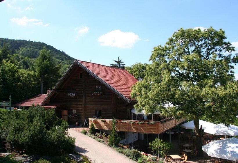 Kastanienhof Apartment