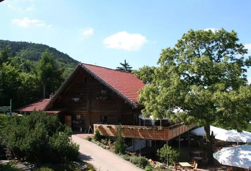 Kastanienhof Apartment