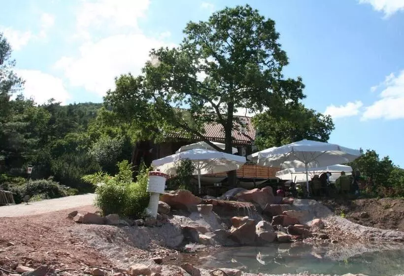 Kastanienhof Apartment