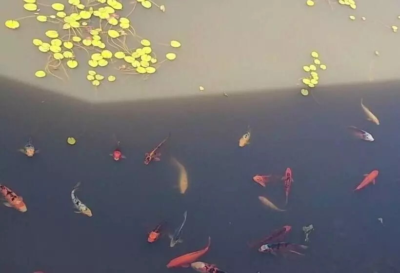 モーテル Golf Club Motor Inn Wingham