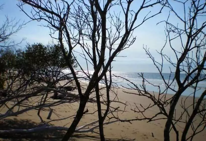 Motelli Moore Park Beach Inn