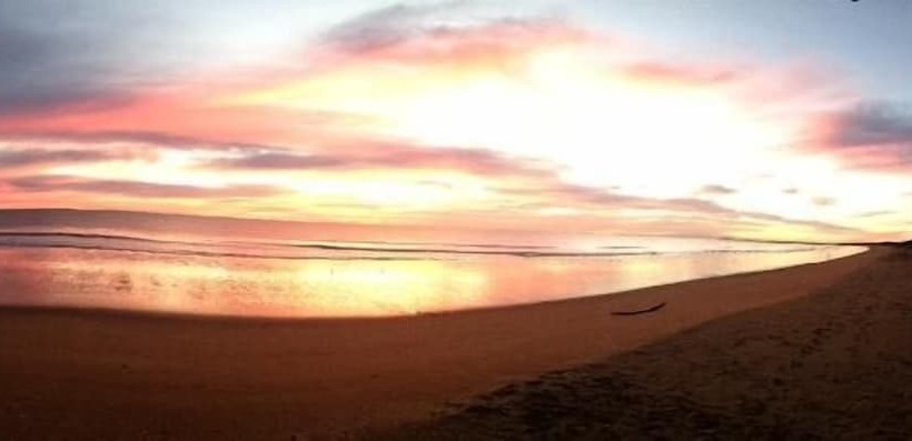 Мотель Moore Park Beach Inn