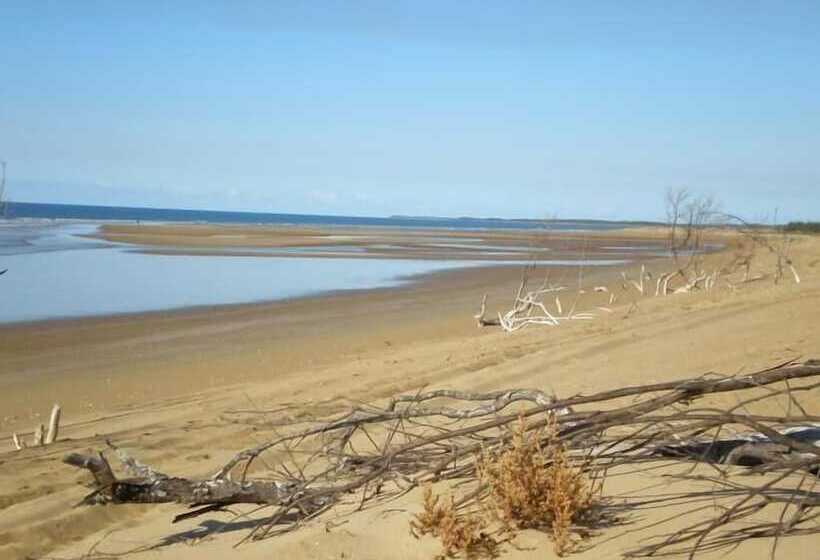 Мотель Moore Park Beach Inn