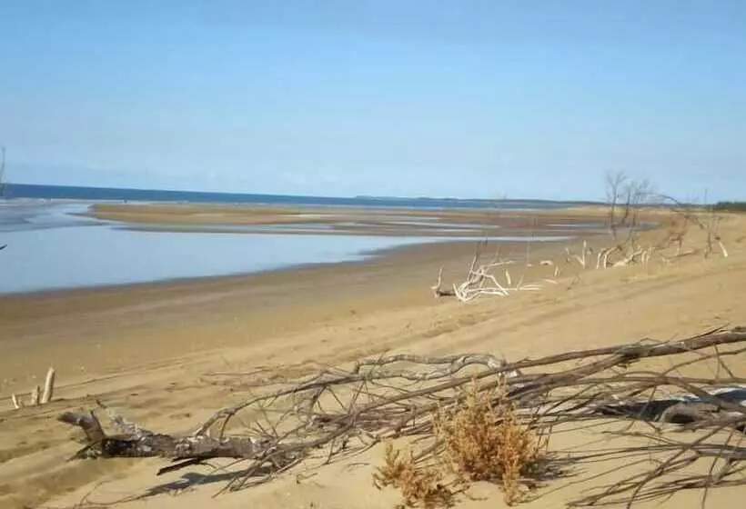 Motelli Moore Park Beach Inn