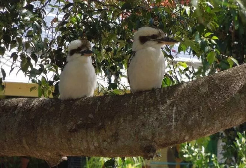 Motelli Moore Park Beach Inn