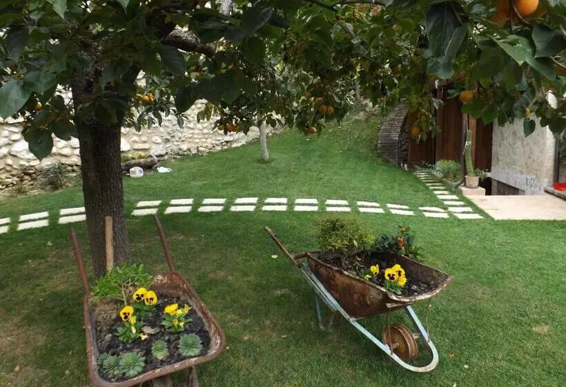 ペンション Agriturismo San Giovanni Ad Insulam