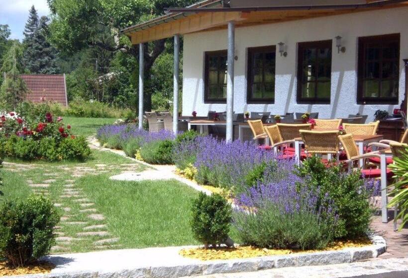 Пансион Gasthof Ferm