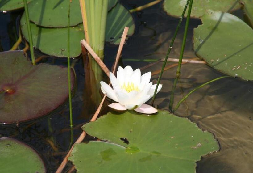 Пансион Gasthof Ferm