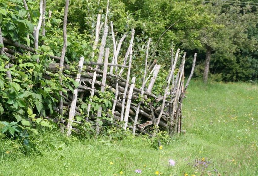 Пансион Gasthof Ferm