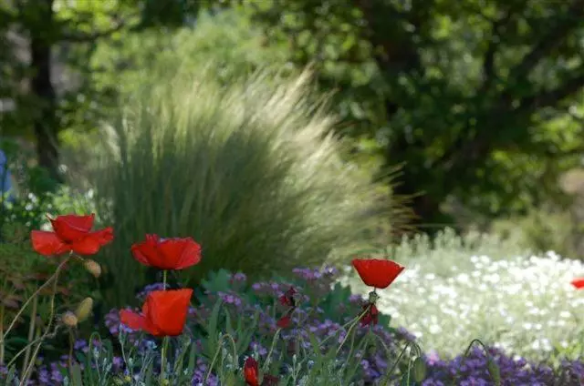 ペンション Maison Rouge