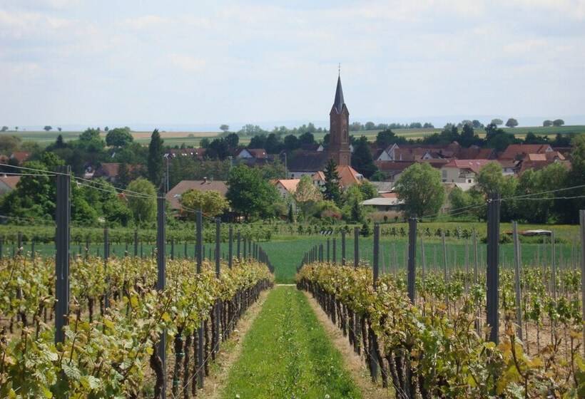 פנסיון No.31 B&b Im Rosengarten