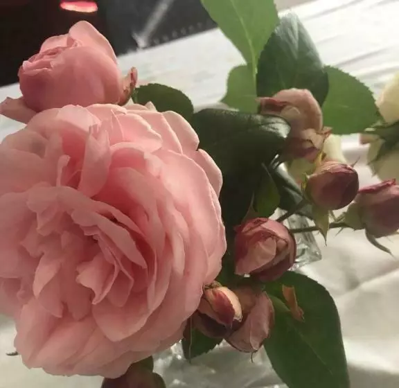 ペンション Résidence La Beauceronne