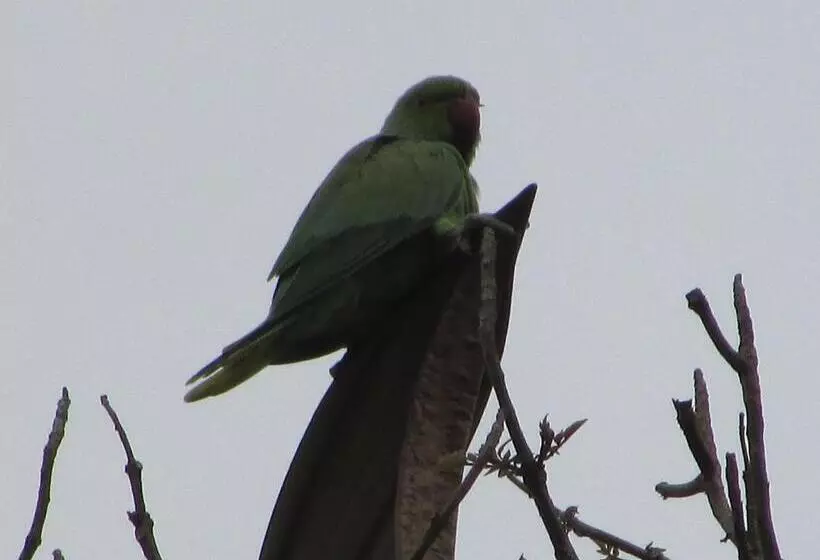 リゾートホテル Parisons Plantation Experiences By Abad