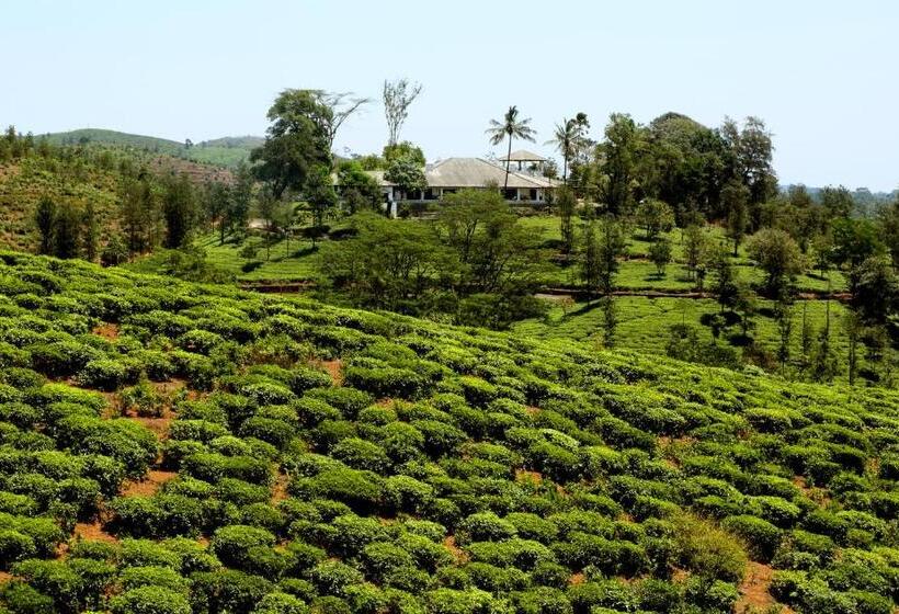 Resort Parisons Plantation Experiences By Abad